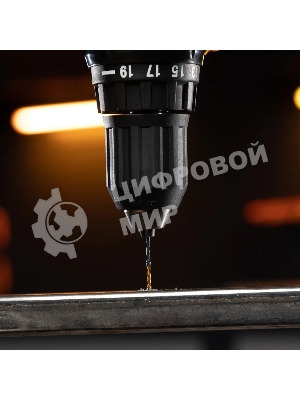 Набор сверл по металлу Denzel 1-13 мм, HSS-Tin, Golden Tip, 25 шт