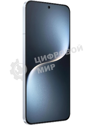 Смартфон Honor Magic 7 5109BRPF 12/256Gb, Lunar Shadow Grey