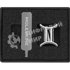 Шильд-символ Moleskine Zodiac Близнецы, металл, серебристый, коробка с европодвесом, PINGEMINISILV