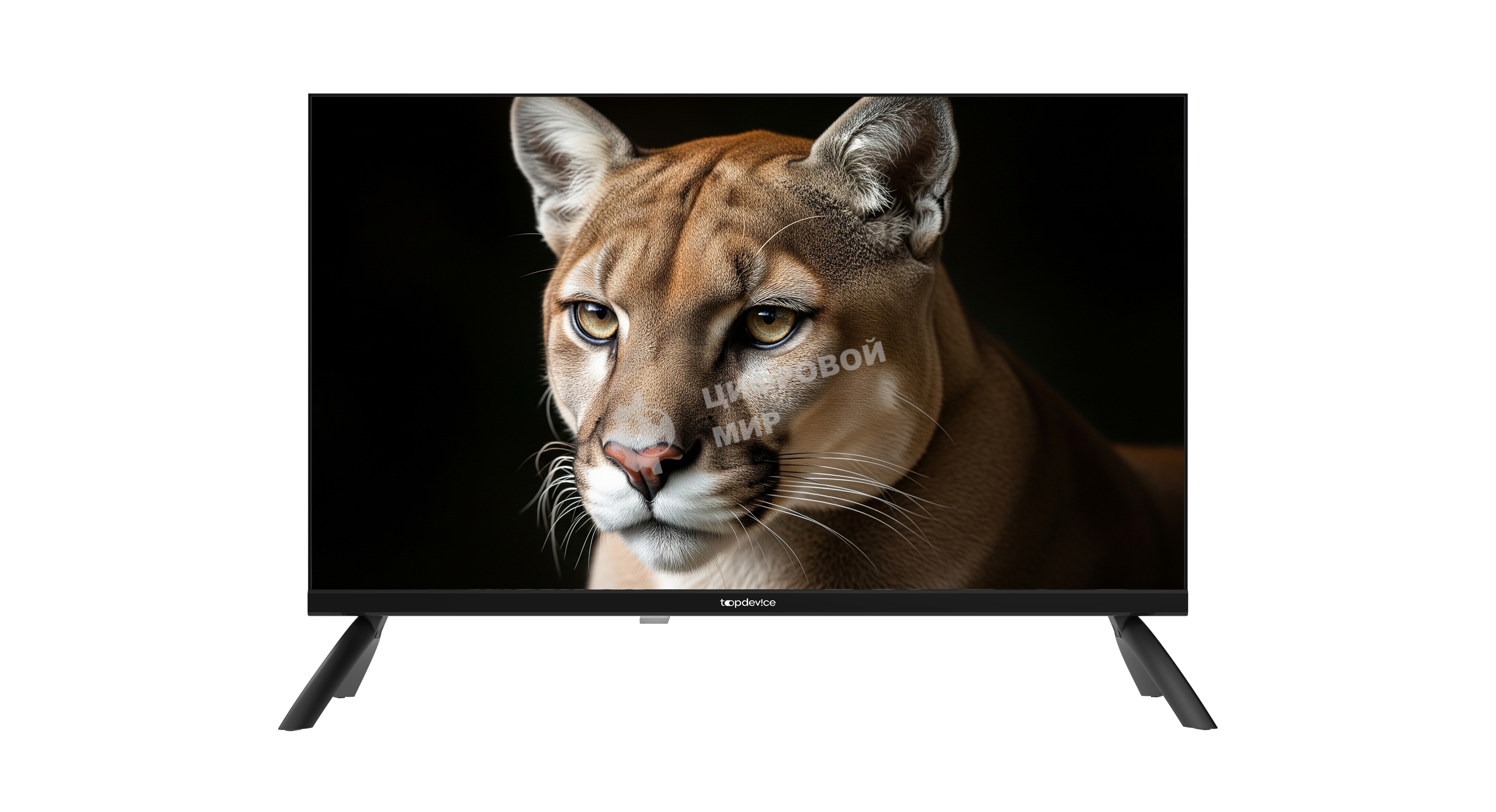 Телевизор TopDevice 24