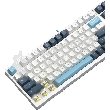 Клавиатура проводная A4Tech Fstyler FS300 (FS300 PANDA SNOWBOARDING), USB, белый/синий