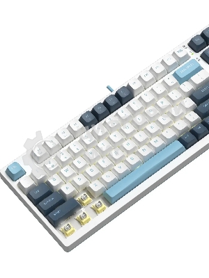 Клавиатура проводная A4Tech Fstyler FS300 (FS300 PANDA SNOWBOARDING), USB, белый/синий