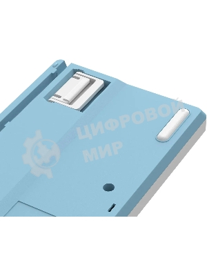 Клавиатура проводная A4Tech Fstyler FS300 (FS300 PANDA SNOWBOARDING), USB, белый/синий