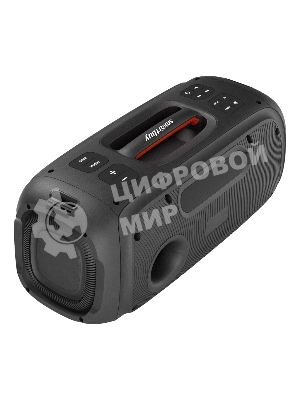 Акустическая система Smartbuy EVOLUTION 2, черный