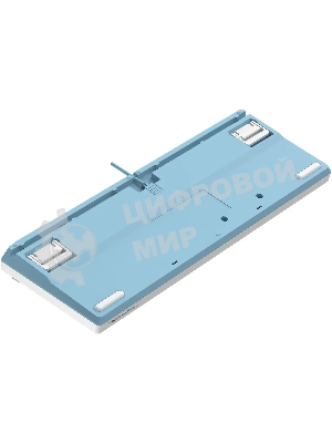 Клавиатура проводная A4Tech Fstyler FS300 (FS300 PANDA SNOWBOARDING), USB, белый/синий