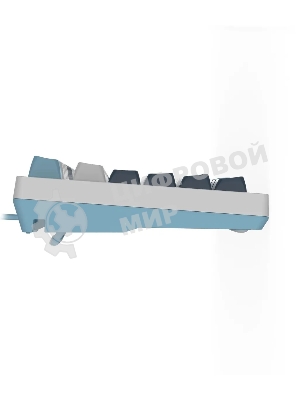 Клавиатура проводная A4Tech Fstyler FS300 (FS300 PANDA SNOWBOARDING), USB, белый/синий