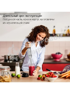 Блендер погружной Hyundai HYB-H3824 800 Вт, серебристый/черный