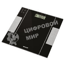Персональные весы для фитнеса Sencor