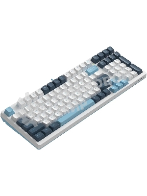 Клавиатура проводная A4Tech Fstyler FS300 (FS300 PANDA SNOWBOARDING), USB, белый/синий