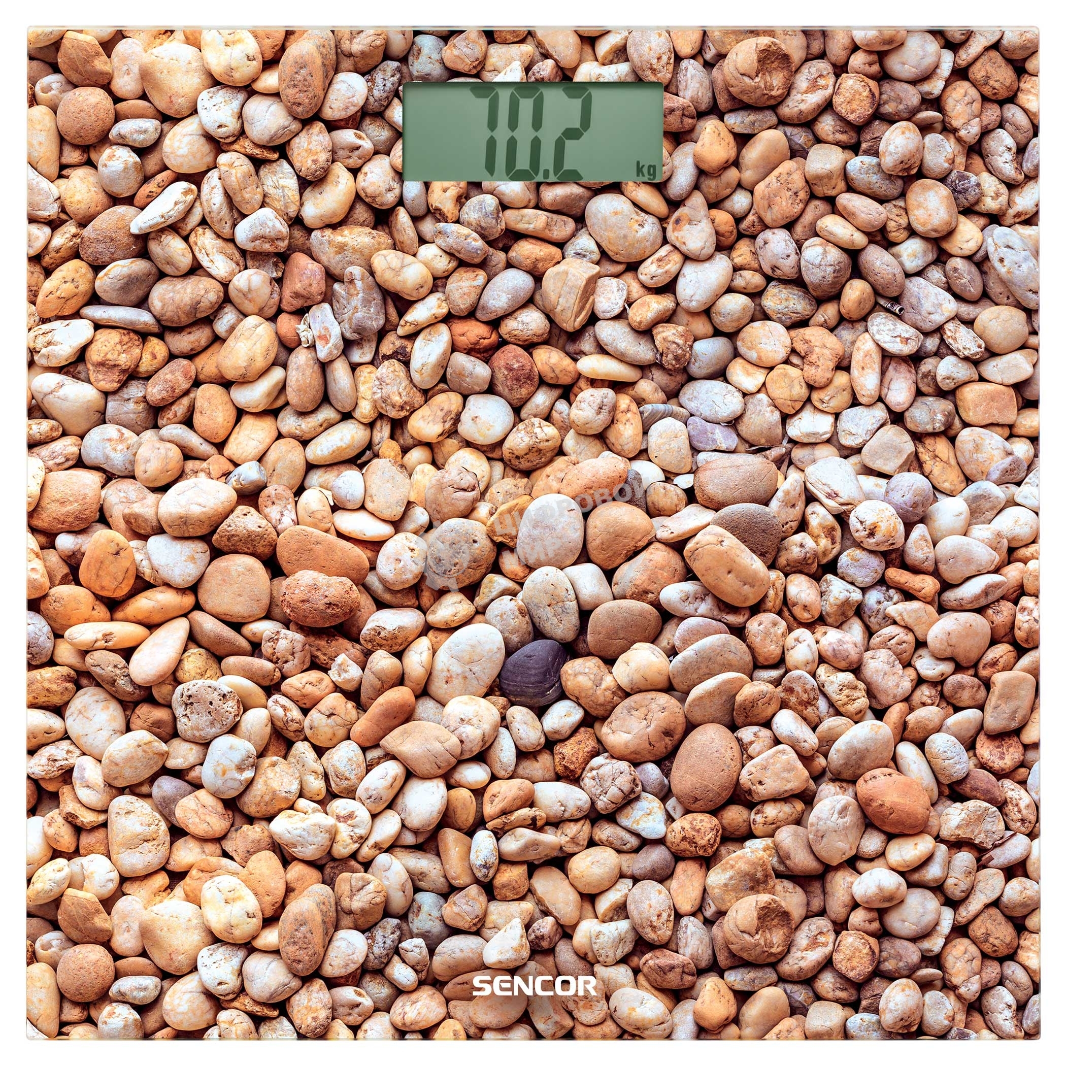 Персональные весы Sencor