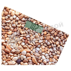 Персональные весы Sencor