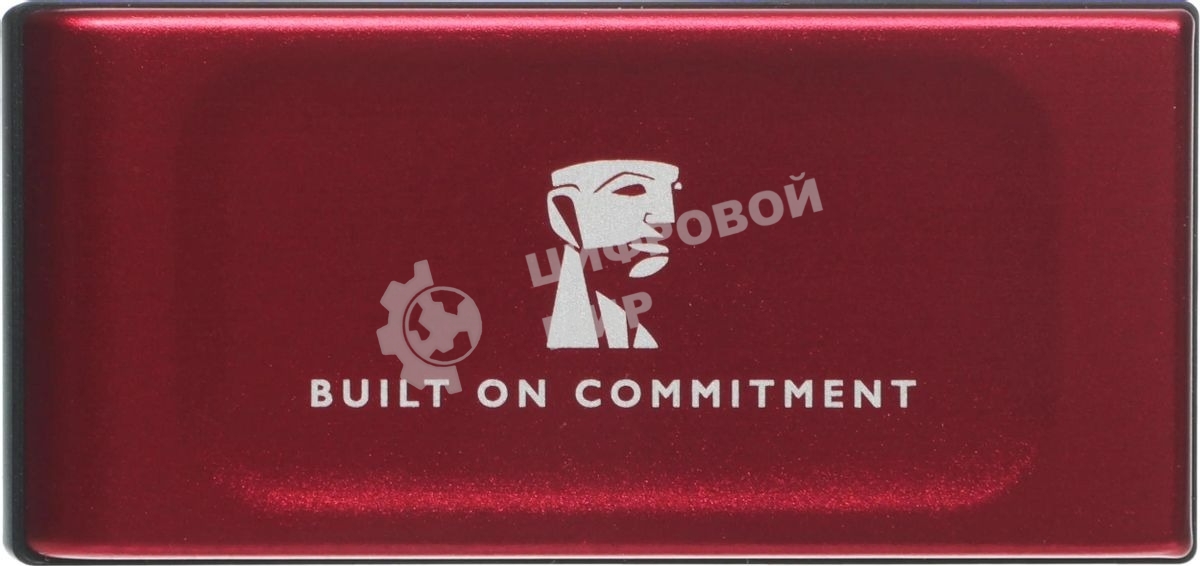 Внешний SSD Kingston XS1000, 1TB, USB 3.2 Gen 2 Type-C, R/W 1050/1000, красный