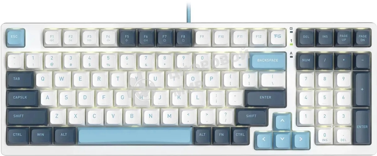 Клавиатура проводная A4Tech Fstyler FS300 (FS300 PANDA SNOWBOARDING), USB, белый/синий