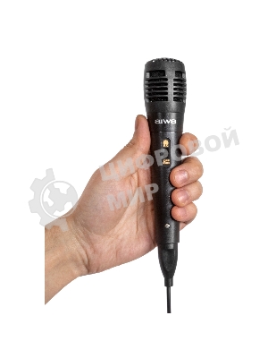 Минисистемы AIWA CAS-910 черный