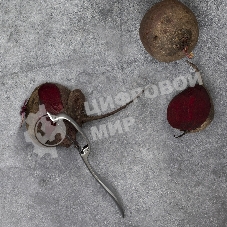 Овощечистка с продольным лезвием TalleR TR-65126