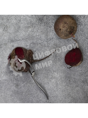 Овощечистка с продольным лезвием TalleR TR-65126