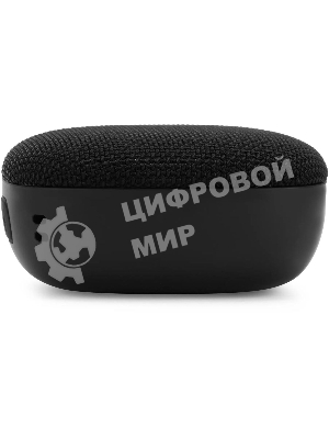 Колонка портативная Hyundai H-PS1010 черный 5W 1.0 BT 10м 1200mAh