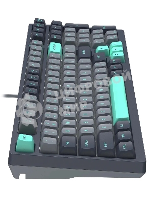 Клавиатура проводная A4Tech Fstyler FS300 механическая черный/серый USB for gamer LED (FS300 PANDA ROCK)