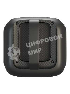 Портативная колонка Soundmax SM-PS4429 черный