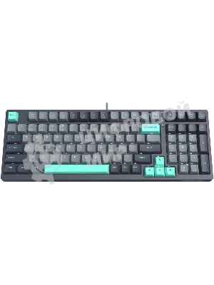 Клавиатура проводная A4Tech Fstyler FS300 механическая черный/серый USB for gamer LED (FS300 PANDA ROCK)