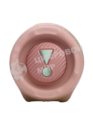 Портативная акустика JBLCHARGE6PINK розовый