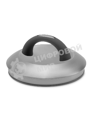 Чайник для плиты Starwind Chef Family 2.8 л, серебристый, металлический (SW-CH1106)