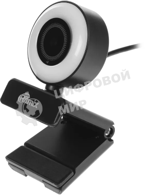 Веб-камера Ritmix RVC-250 2592x1944, 30 кадр/с, USB Type-A, микрофон, автоматическая фокусировка, универсальное крепление