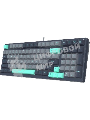 Клавиатура проводная A4Tech Fstyler FS300 механическая черный/серый USB for gamer LED (FS300 PANDA ROCK)