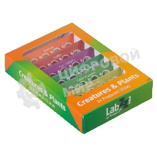 Набор микропрепаратов Levenhuk LABZZ CP24, существа и растения (72870)