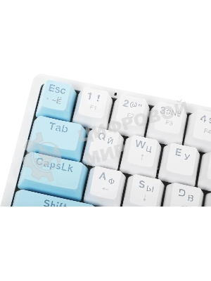 Клавиатура Defender Amox GK-585 проводная, USB Type-A, белый