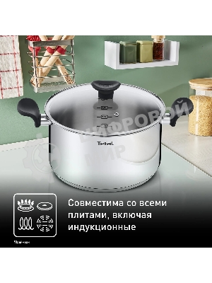 Кастрюля Tefal Primary E3084674 5.2 л. d=24 см (с крышкой) стальной (2100120958)