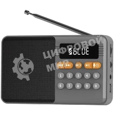 Радиоприемник PERFEO (PF_D0576) ТУРИСТ, серый