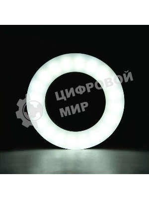 Осветитель DF LED-02 черный