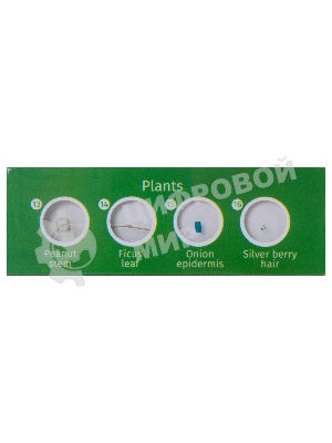 Набор микропрепаратов Levenhuk LABZZ CP24, существа и растения (72870)