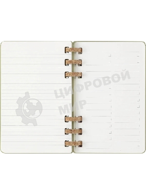 Еженедельник Moleskine ACADEMIC SPIRAL DHSPK5212AMWH3 Large 150х210 мм 200 стр. кремовые страницы спираль киви