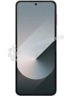 Смартфон Samsung Galaxy Z Flip 6 5G, 12/256Gb, серый