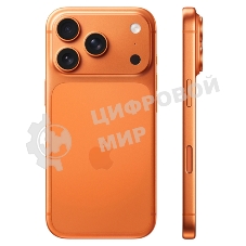 Смартфон Apple iPhone 17 Pro 12/256Gb, оранжевый