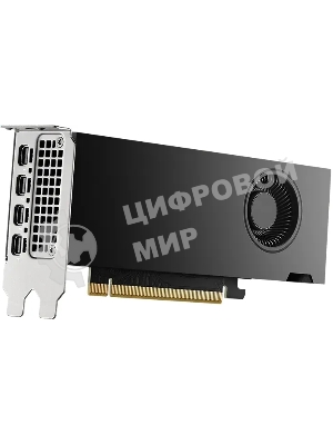 Видеокарта PNY NVIDIA 2000 Ada 16GB LowProfile OEM Version