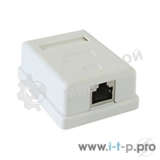 Розетка GEMBIRD NAS212 RJ-45 кат.STP 5e внешняя экранированная 1 порт, 110/Krone