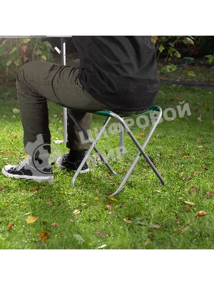 Стул складной Palisad Camping 35х30х36 см