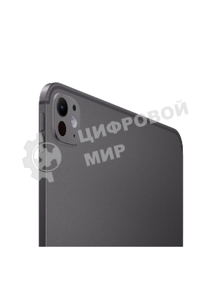 Планшет Apple iPad Pro 2024 A2836 11