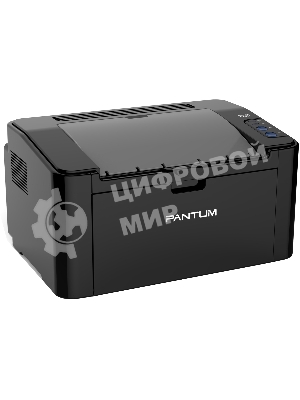 Принтер лазерный Pantum P2207, A4, ч/б, печ. до 20 стр/мин, 1200x1200 dpi, USB