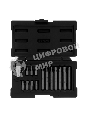 Набор бит Stels TORX, хвостовик-шестигранник, 10 мм, CrV, 15 предм.