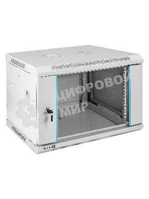 Шкаф телекоммуникационный 19