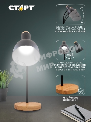 Светильник настольный СТАРТ CT84, E27, до 40Вт, 1,5м, черный