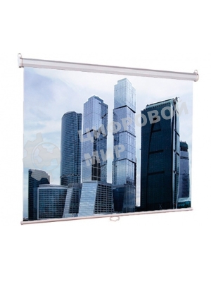 Экраны LUMIEN Eco Picture LEP-100101, 150х150 см, 1:1