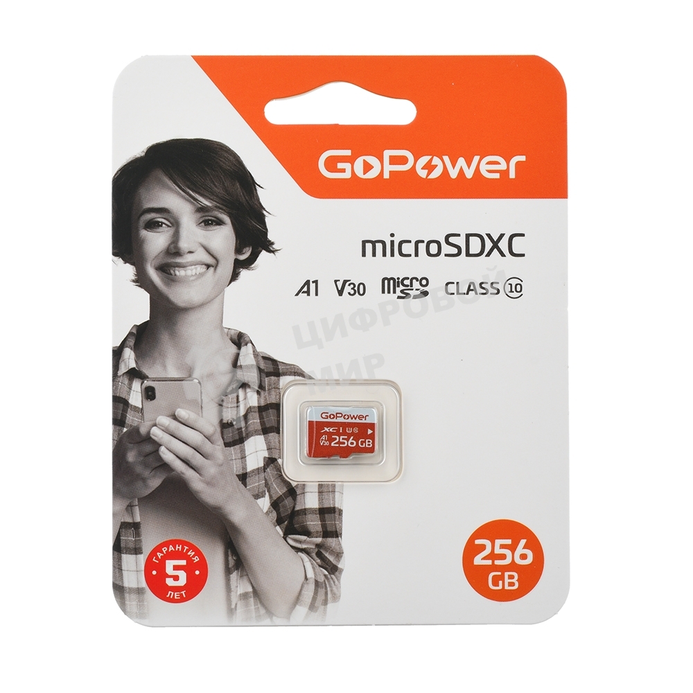 Флеш карта microSD GoPower 256Gb Class10 UHS-I (U3) 100 МБ/сек V30 без адаптера