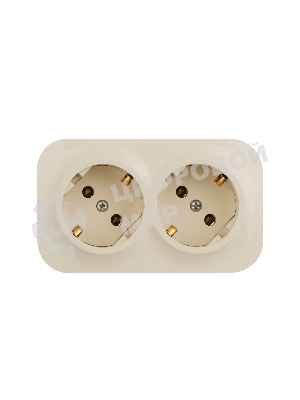 Блок розеток Quteo с предварительным подключением 2x2К+З без шторок, 16A, 250 В, IP 20, Слон. кость