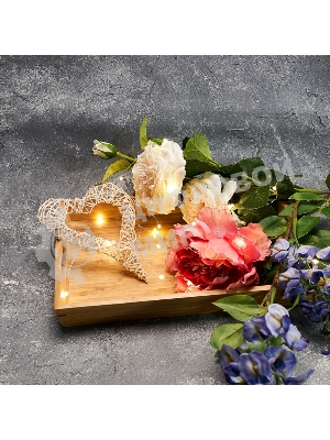 Гирлянда Neon-night 