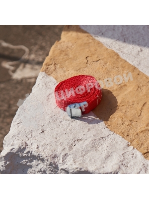 Ремень Rexant для крепления груза с фиксатором, 3.5 м